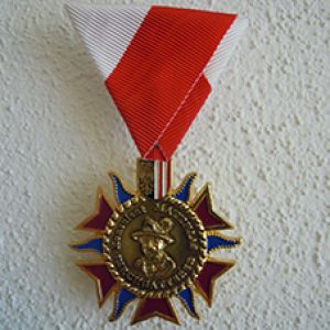 Kons. Matthias Kirchgatterer-Medaille 