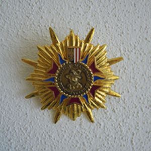 Kons. Matthias Kirchgatterer-Medaille am goldenen Stern